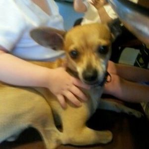 Meet your Posher, Walter